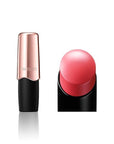 Decorté The Rouge High Gloss Lipstick