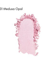 Shiseido Color + Glow Enhancer