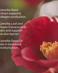 Shiseido Ultimune Power Infusing Serum